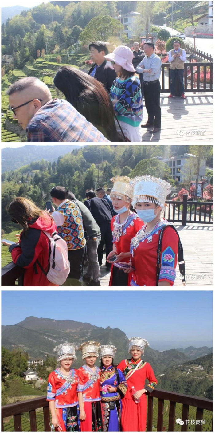 1619056205263.jpg 1617786205792.jpg