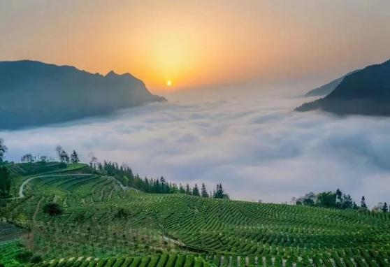 1761536911391.png 1761536911391.png